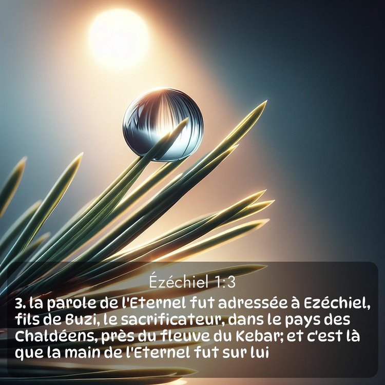 Segond Ézéchiel 1:3