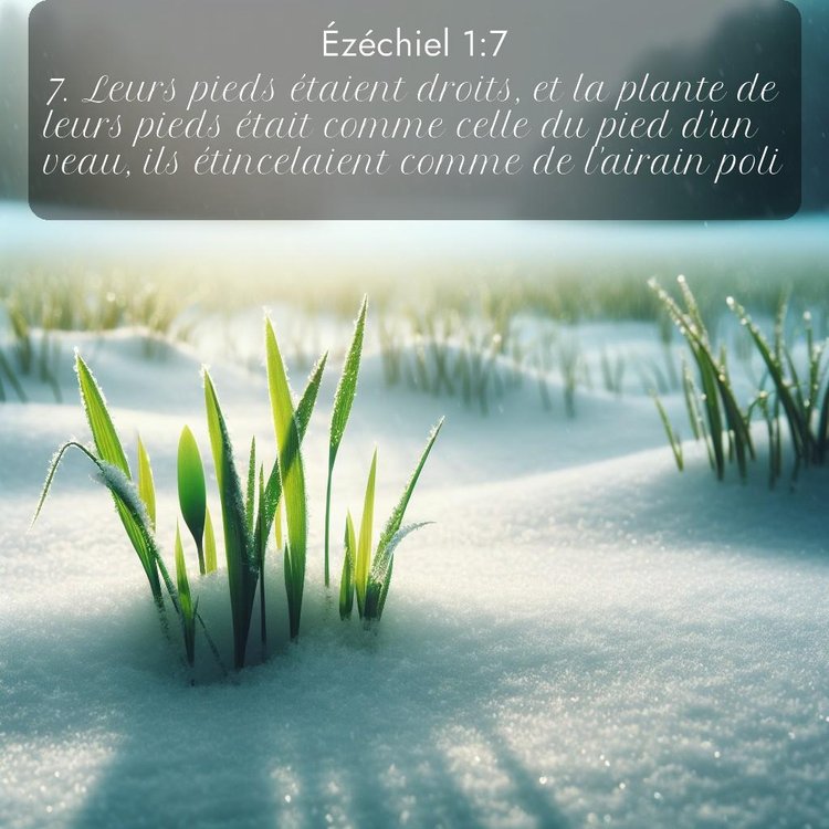 Segond Ézéchiel 1:7