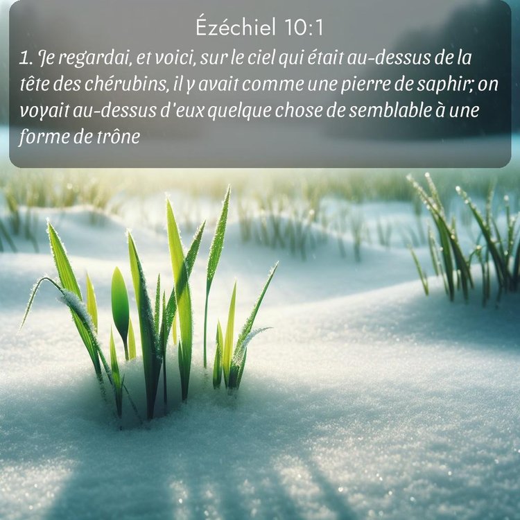 Segond Ézéchiel 10:1