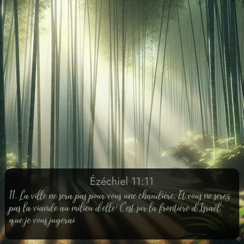 Segond Ézéchiel  ; image nature: image avec le verset biblique :La ville ne sera pas pour vous une chaudière, Et vous ne serez pas la viande au milieu d&#039;elle: C&#039;est sur la frontière d&#039;Israël que je vous jugerai. ;  ; 11:11