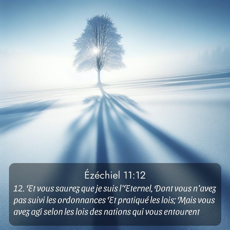 Segond Ézéchiel 11:12