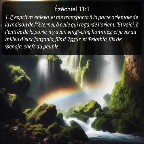 Segond Ézéchiel  ; image nature: image avec le verset biblique :L&#039;esprit m&#039;enleva, et me transporta à la porte orientale de la maison de l&#039;Eternel, à celle qui regarde l&#039;orient. Et voici, à l&#039;entrée de la porte, il y avait vingt-cinq hommes; et je vis au milieu d&#039;eux Jaazania, fils d&#039;Azzur, et Pelathia, fils de Benaja, chefs du peuple. ;  ; 11:1
