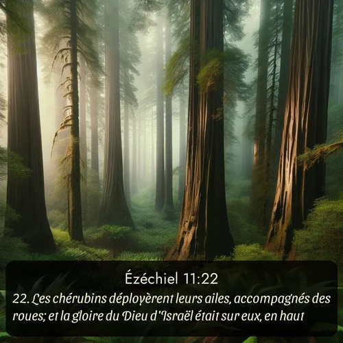 Segond Ézéchiel  ; image nature: image avec le verset biblique :Les chérubins déployèrent leurs ailes, accompagnés des roues; et la gloire du Dieu d&#039;Israël était sur eux, en haut. ;  ; 11:22