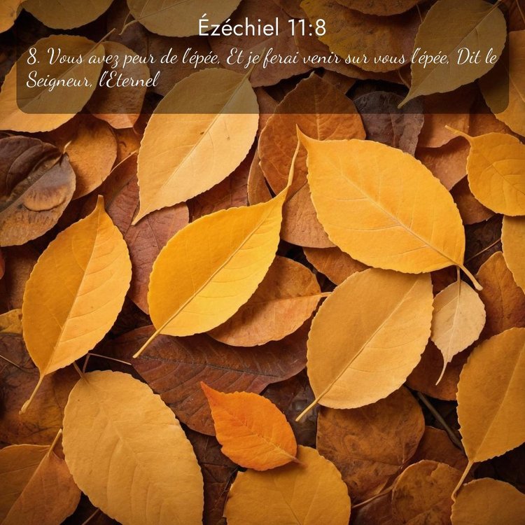 Segond Ézéchiel 11:8