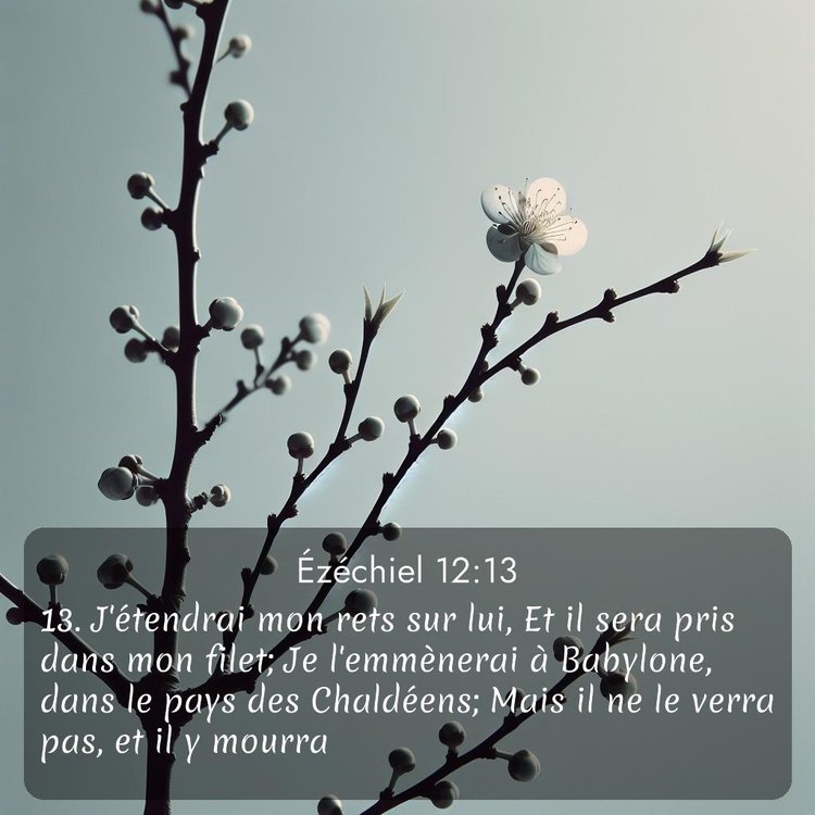 image nature avec verset biblique de la Bible