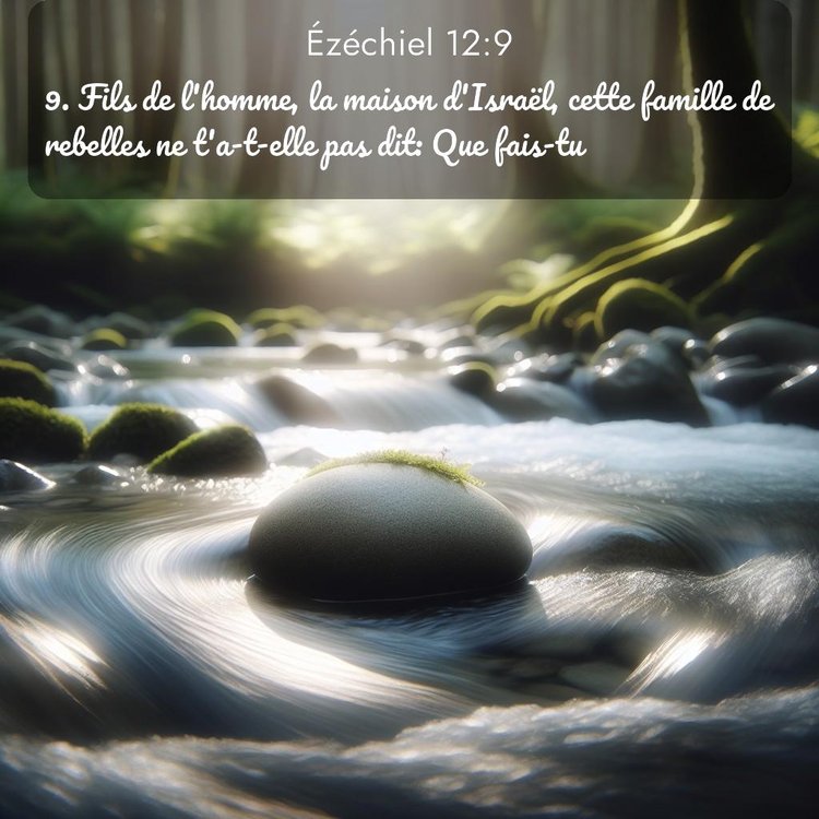 Segond Ézéchiel 12:9