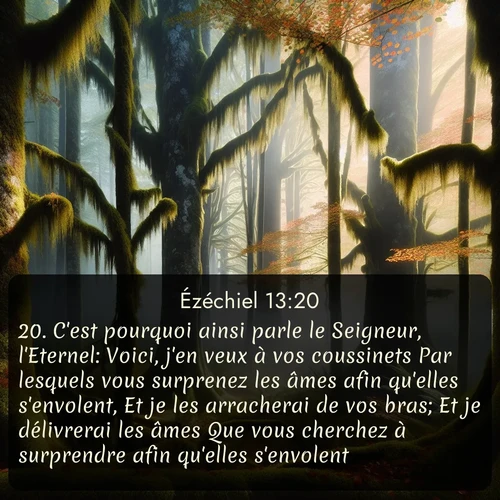 Segond Ézéchiel  ; image nature: image avec le verset biblique :C&#039;est pourquoi ainsi parle le Seigneur, l&#039;Eternel: Voici, j&#039;en veux à vos coussinets Par lesquels vous surprenez les âmes afin qu&#039;elles s&#039;envolent, Et je les arracherai de vos bras; Et je délivrerai les âmes Que vous cherchez à surprendre afin qu&#039;elles s&#039;envolent. ;  ; 13:20