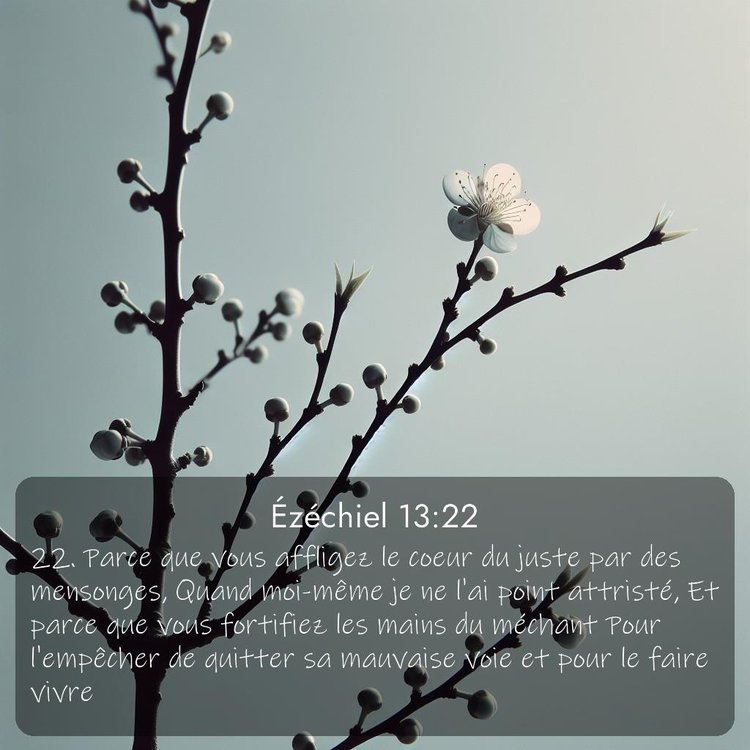 Segond Ézéchiel 13:22