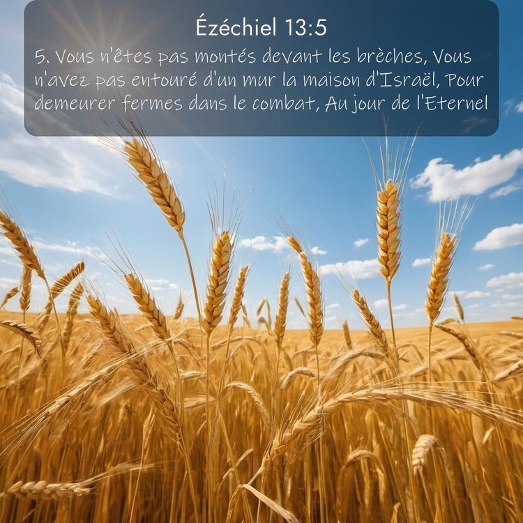 Segond Ézéchiel 13:5