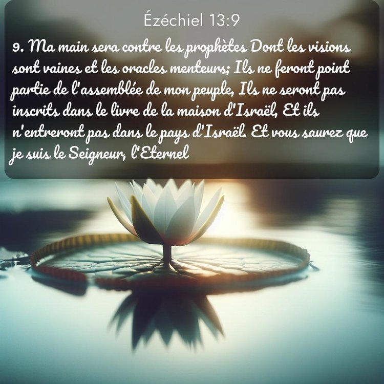 Segond Ézéchiel 13:9