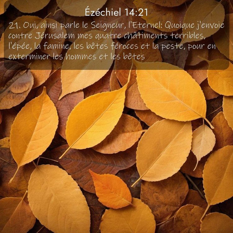 Segond Ézéchiel 14:21