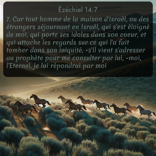 Segond Ézéchiel  ; image nature: image avec le verset biblique :Car tout homme de la maison d&#039;Israël, ou des étrangers séjournant en Israël, qui s&#039;est éloigné de moi, qui porte ses idoles dans son coeur, et qui attache les regards sur ce qui l&#039;a fait tomber dans son iniquité, -s&#039;il vient s&#039;adresser au prophète pour me consulter par lui, -moi, l&#039;Eternel, je lui répondrai par moi. ;  ; 14:7