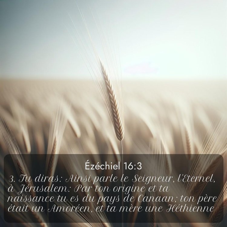image nature avec verset biblique de la Bible