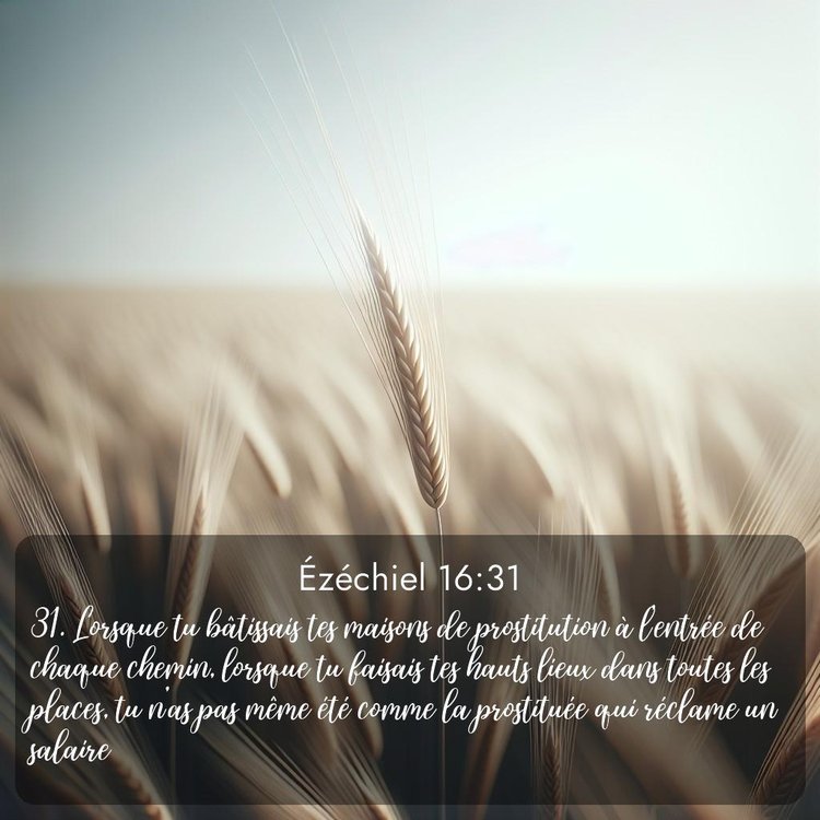 image nature avec verset biblique de la Bible