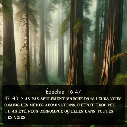 Segond Ézéchiel  ; image nature: image avec le verset biblique :Tu n&#039;as pas seulement marché dans leurs voies, commis les mêmes abominations, c&#039;était trop peu; tu as été plus corrompue qu&#039;elles dans toutes tes voies. ;  ; 16:47