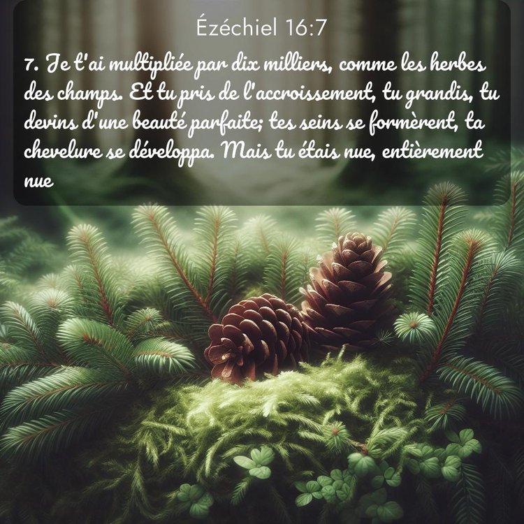 Segond Ézéchiel 16:7