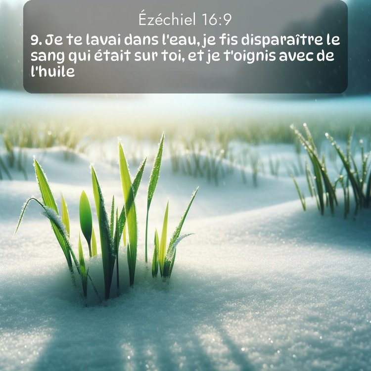 Segond Ézéchiel 16:9