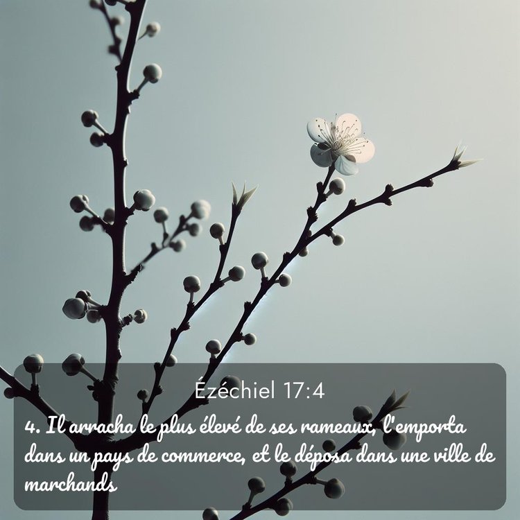 Segond Ézéchiel 17:4