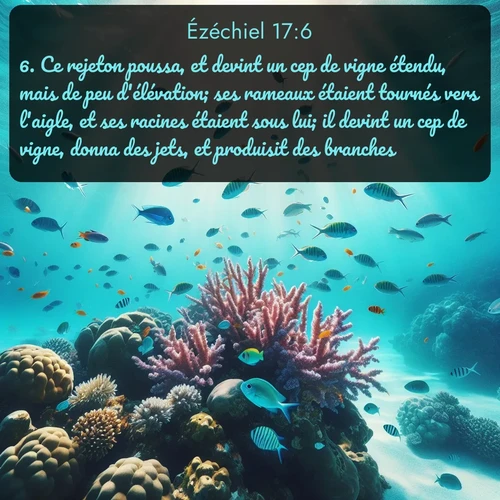 Segond Ézéchiel  ; image nature: image avec le verset biblique :Ce rejeton poussa, et devint un cep de vigne étendu, mais de peu d&#039;élévation; ses rameaux étaient tournés vers l&#039;aigle, et ses racines étaient sous lui; il devint un cep de vigne, donna des jets, et produisit des branches. ;  ; 17:6