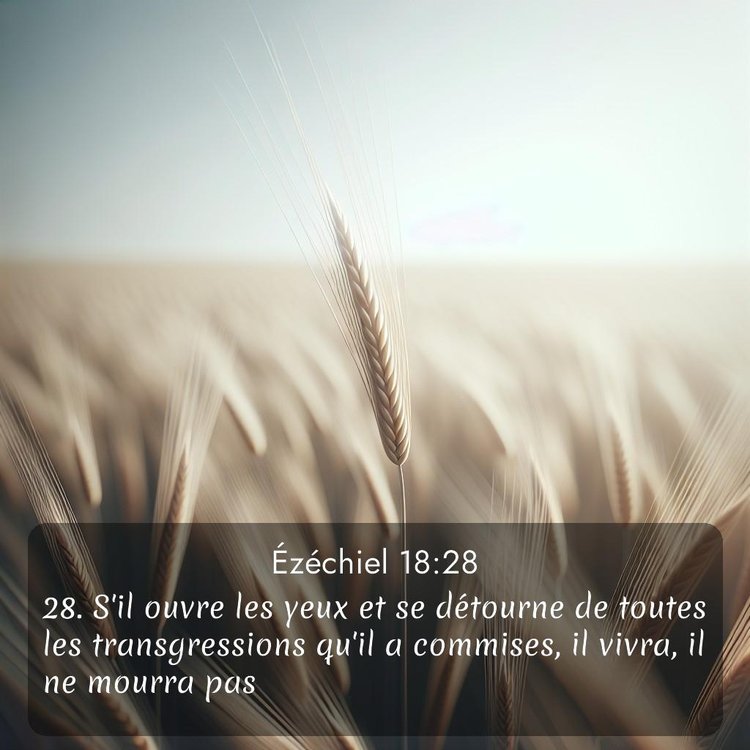 image nature avec verset biblique de la Bible