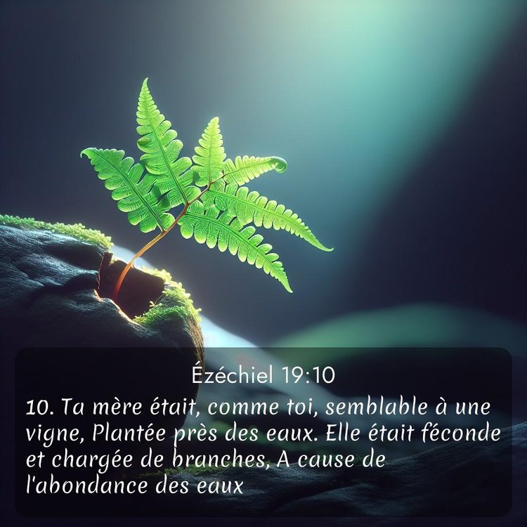 image nature avec verset biblique de la Bible