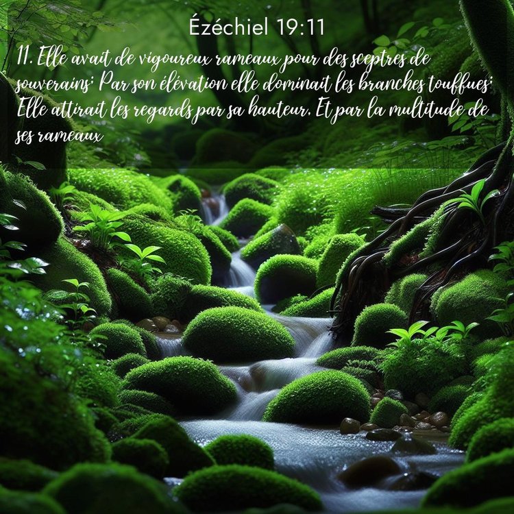 image nature avec verset biblique de la Bible