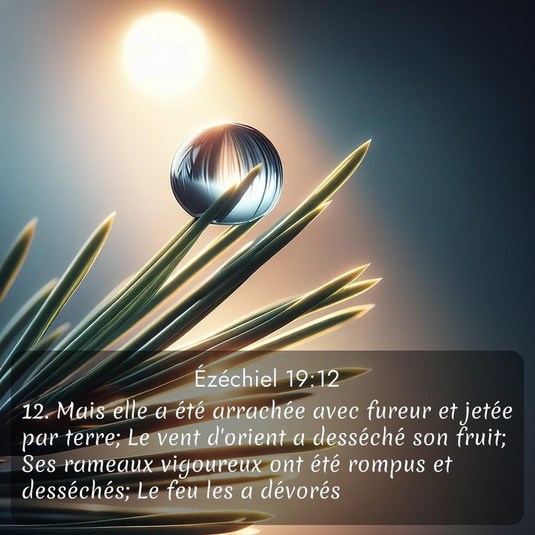 image nature avec verset biblique de la Bible