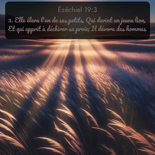 Segond Ézéchiel  ; image nature: image avec le verset biblique :Elle éleva l&#039;un de ses petits, Qui devint un jeune lion, Et qui apprit à déchirer sa proie; Il dévora des hommes. ;  ; 19:3