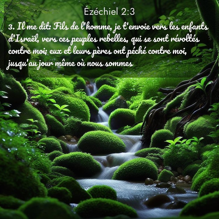 image nature avec verset biblique de la Bible