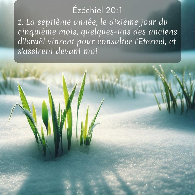 image nature avec verset biblique de la Bible