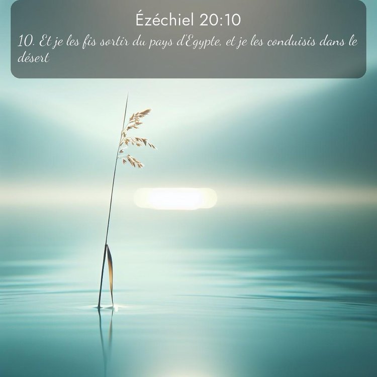 image nature avec verset biblique de la Bible