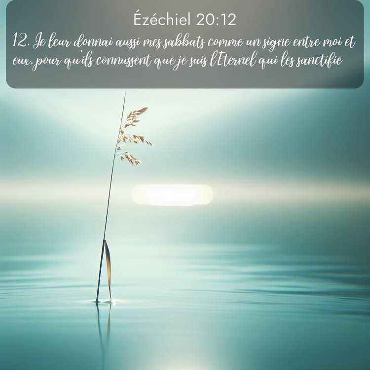 image nature avec verset biblique de la Bible