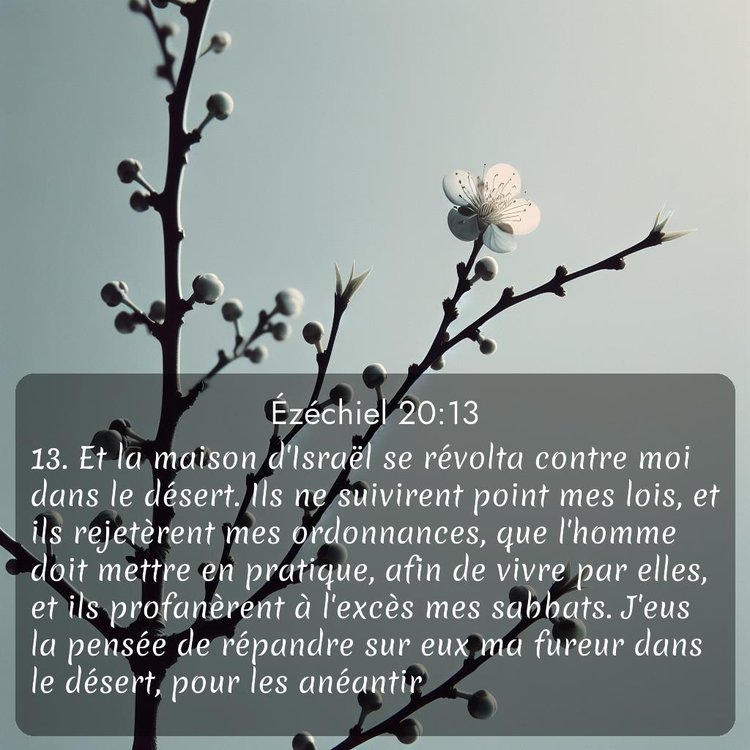 Segond Ézéchiel 20:13