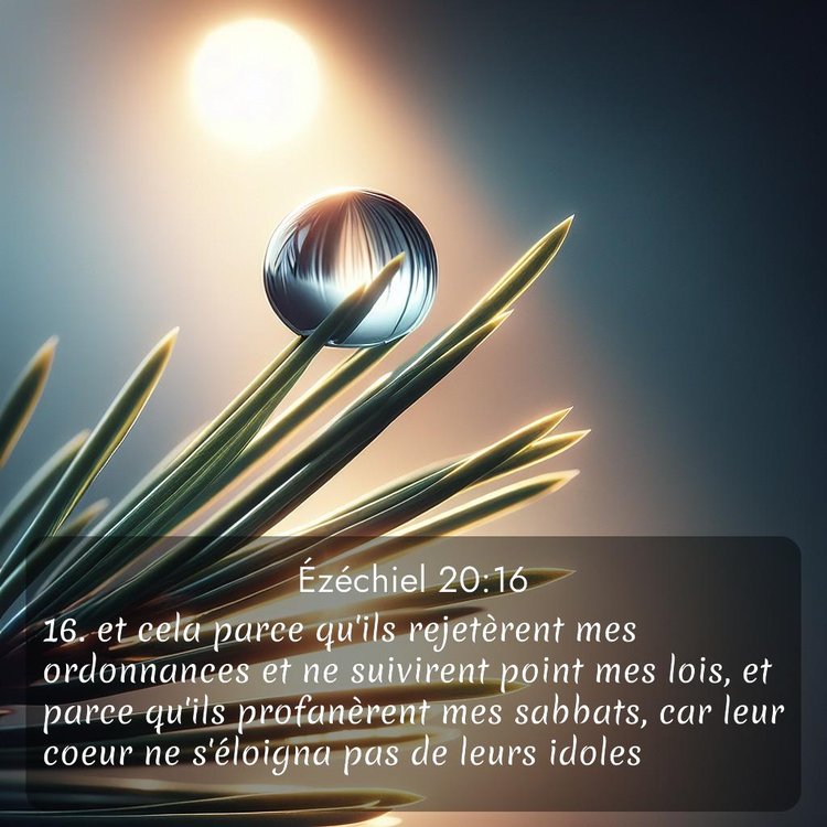 image nature avec verset biblique de la Bible