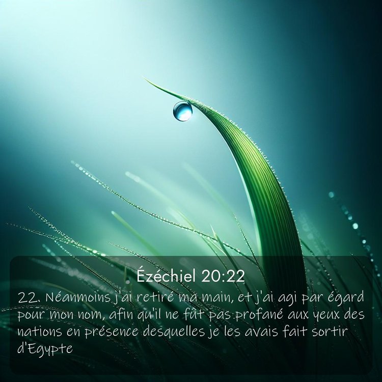 Segond Ézéchiel 20:22