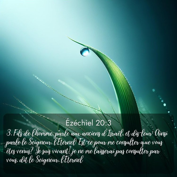 Segond Ézéchiel 20:3