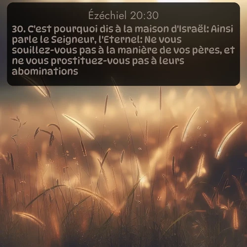 Segond Ézéchiel  ; image nature: image avec le verset biblique :C&#039;est pourquoi dis à la maison d&#039;Israël: Ainsi parle le Seigneur, l&#039;Eternel: Ne vous souillez-vous pas à la manière de vos pères, et ne vous prostituez-vous pas à leurs abominations? ;  ; 20:30