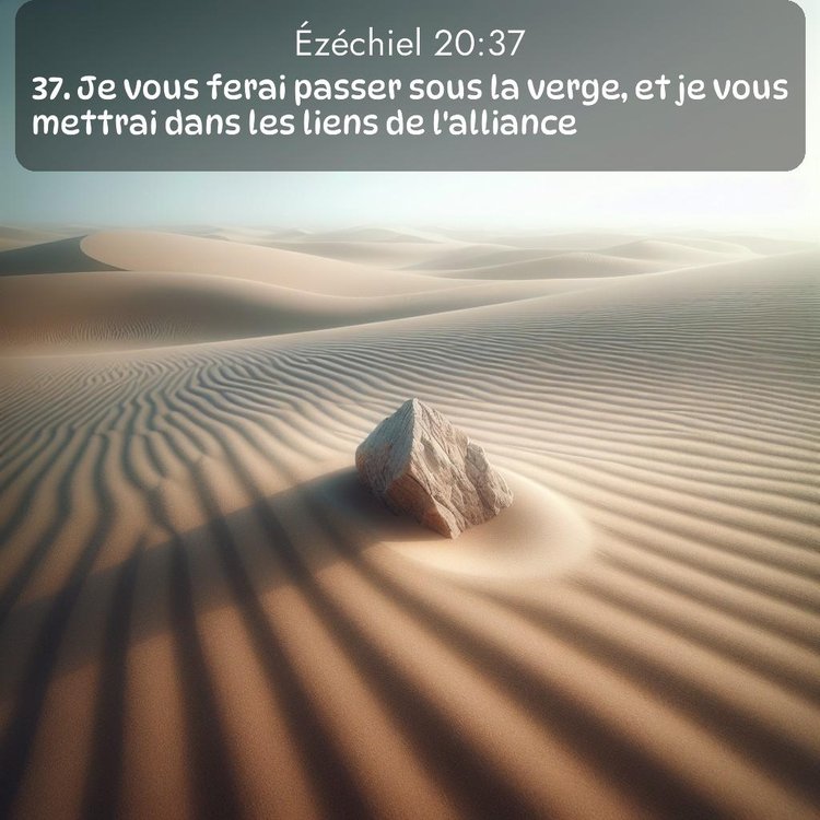 image nature avec verset biblique de la Bible