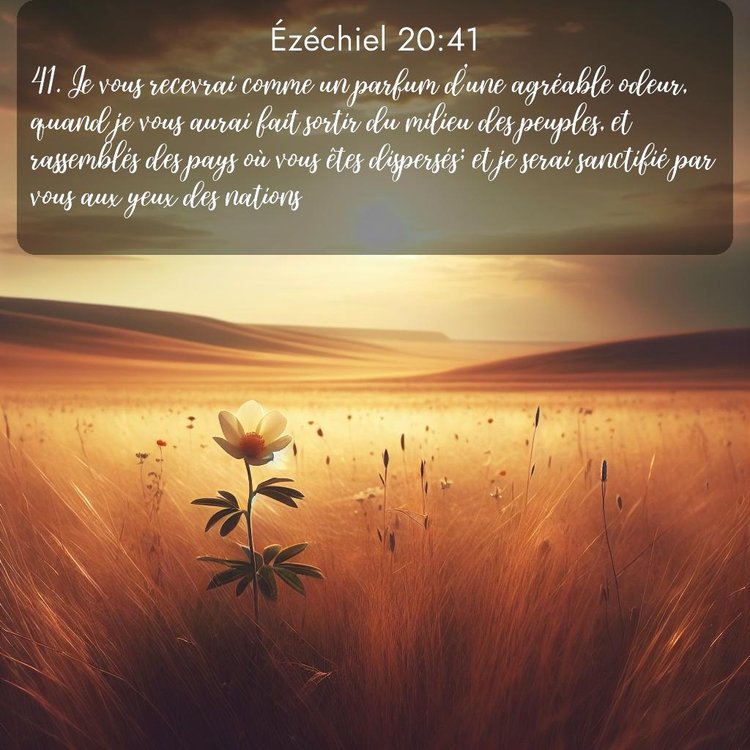 image nature avec verset biblique de la Bible