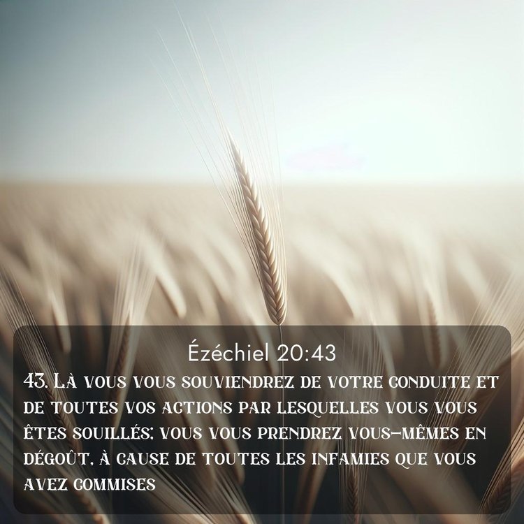 image nature avec verset biblique de la Bible