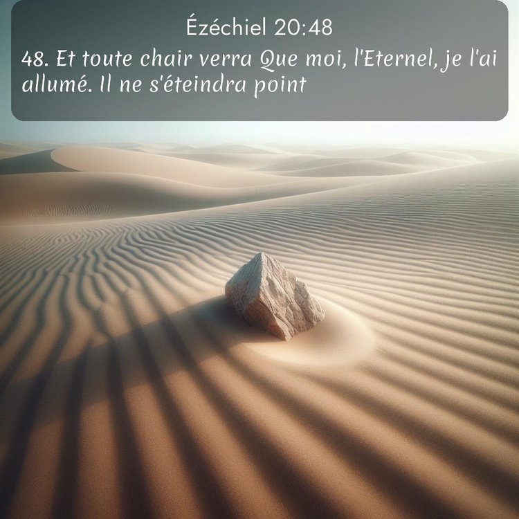 Segond Ézéchiel 20:48