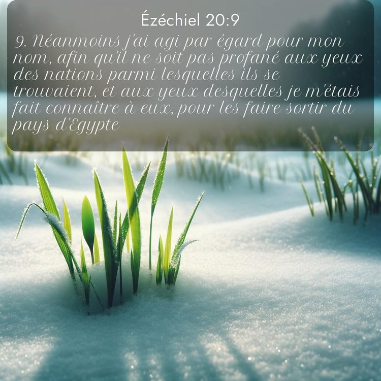 image nature avec verset biblique de la Bible