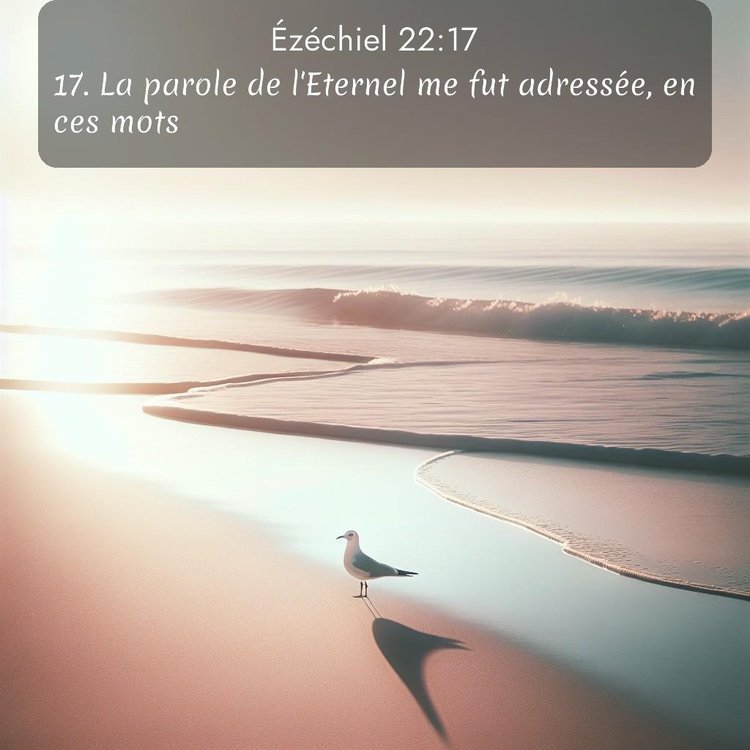 Segond Ézéchiel 22:17