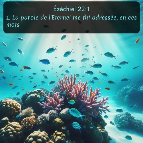 Segond 26 22:1