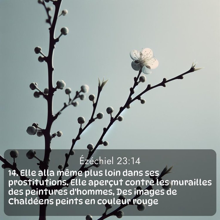 image nature avec verset biblique de la Bible