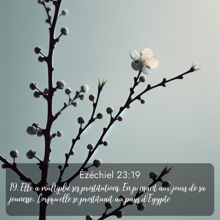 image nature avec verset biblique de la Bible