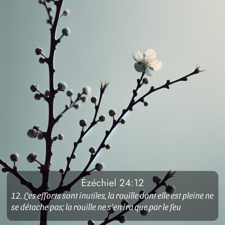 Segond Ézéchiel 24:12