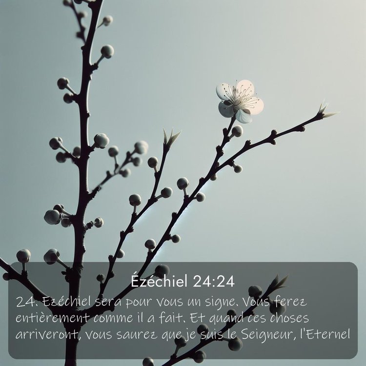 Segond Ézéchiel 24:24