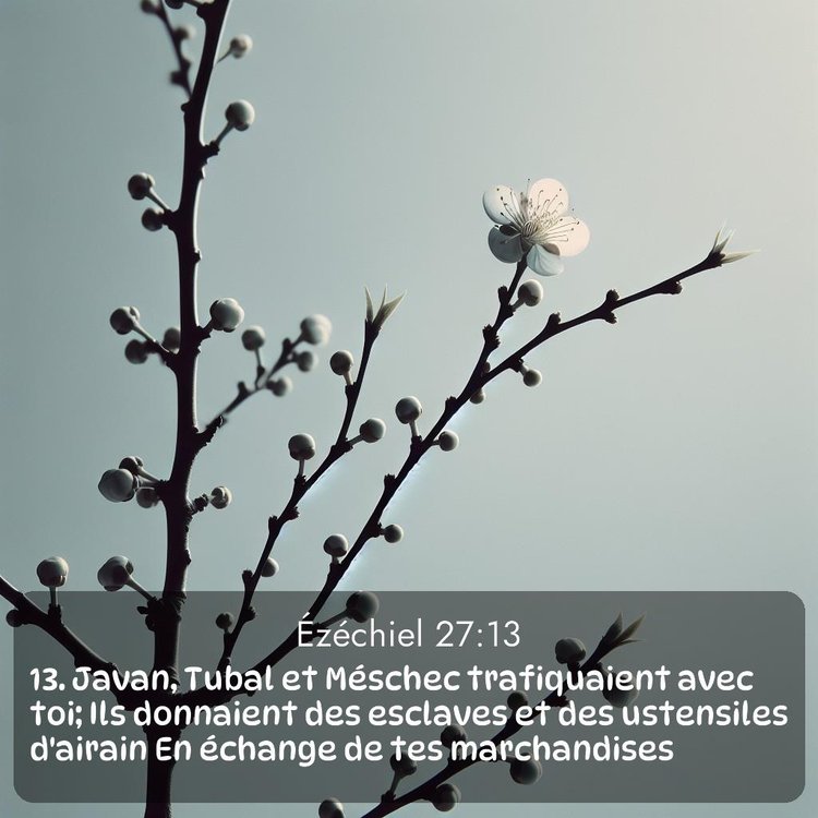 image nature avec verset biblique de la Bible