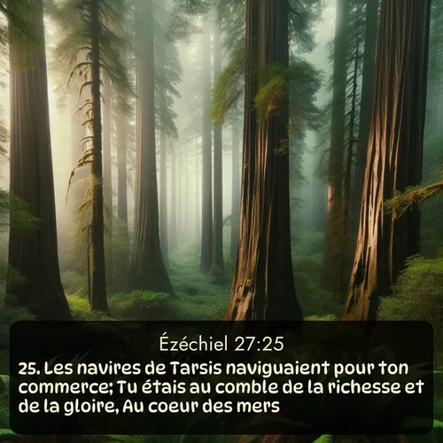 Segond Ézéchiel  ; image nature: image avec le verset biblique :Les navires de Tarsis naviguaient pour ton commerce; Tu étais au comble de la richesse et de la gloire, Au coeur des mers. ;  ; 27:25